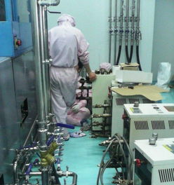 日語(yǔ)翻譯服務(wù)